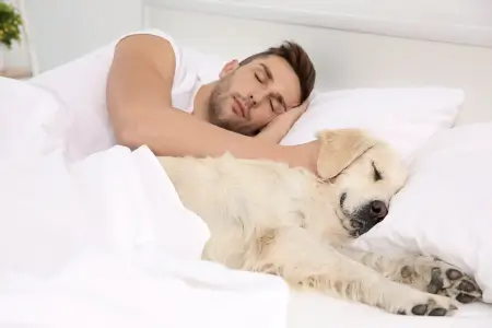 Peace of Mind for Pet Parents Who Live Alone