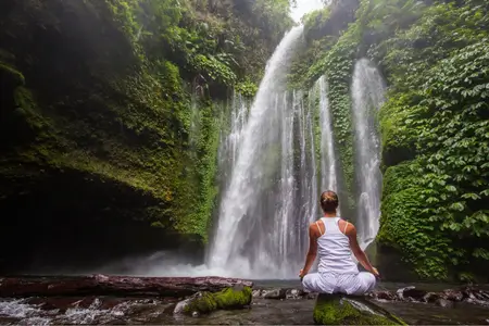 Free Guided Forest Bathing Meditation