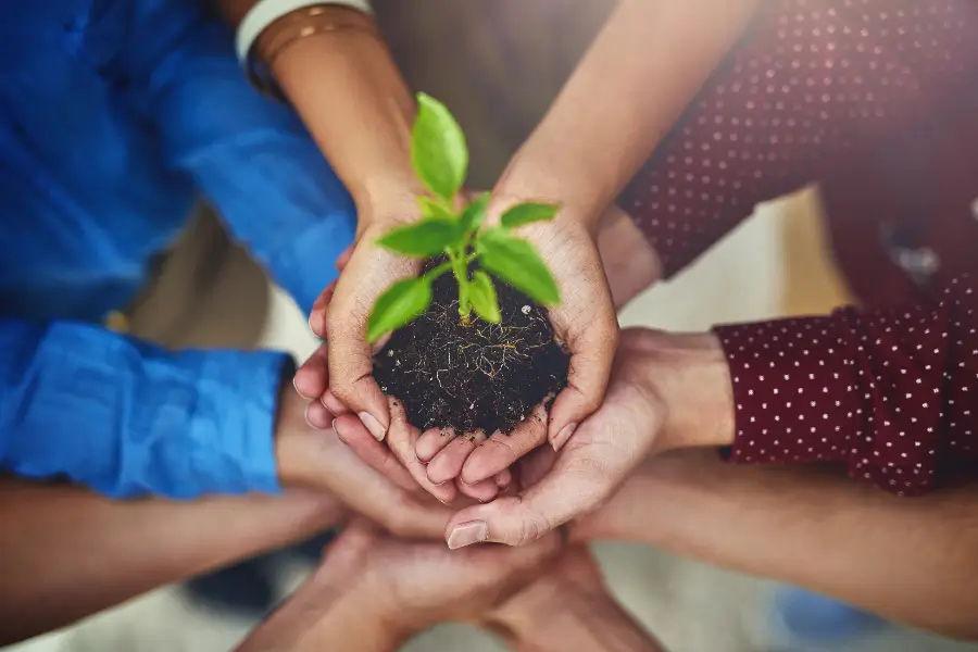 Hands of diverse individuals gently cradling soil with a young green plant sprouting, symbolizing environmental sustainability, teamwork, community growth, and collective care for nature.