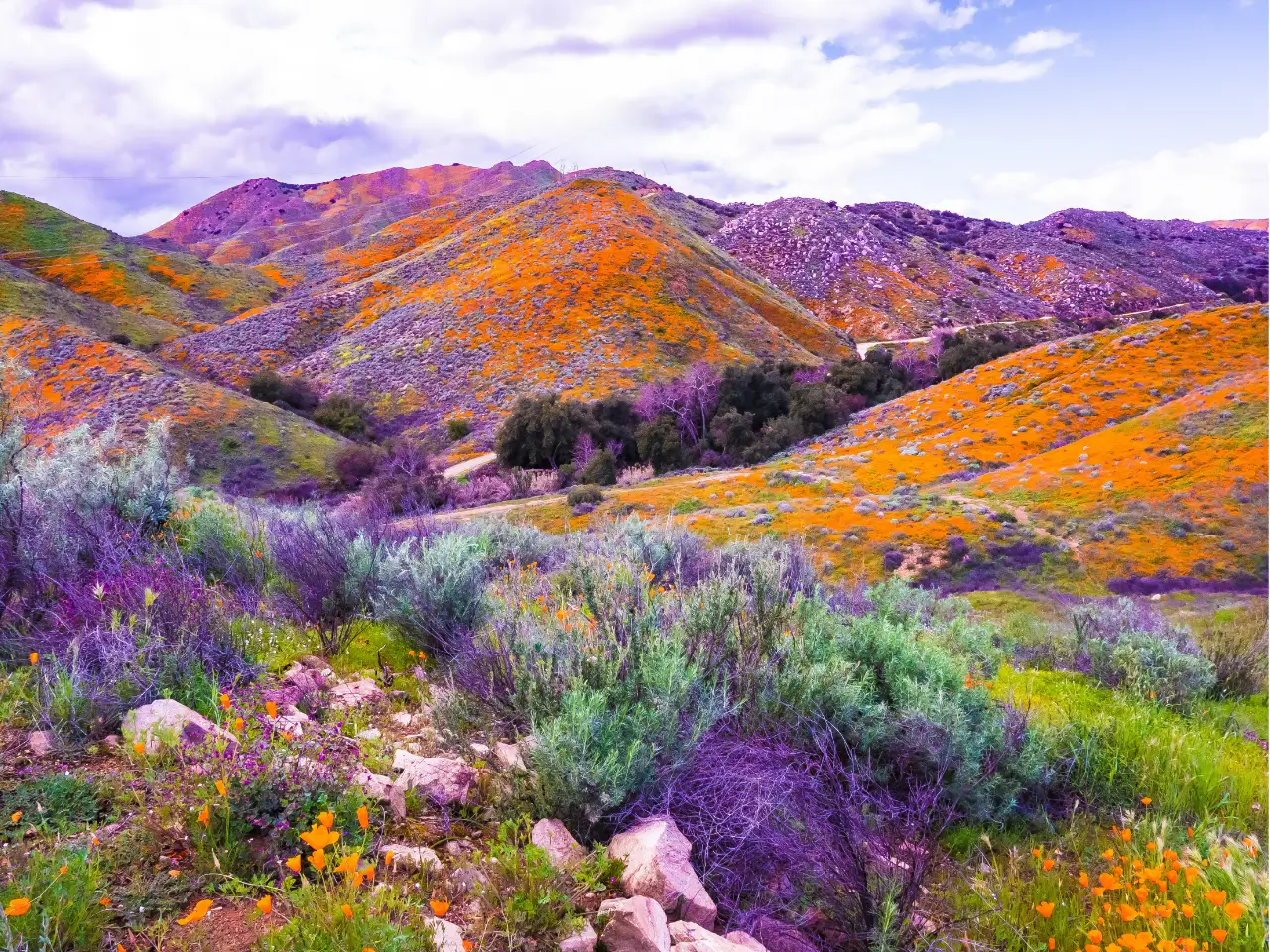 How Nature Pictures Can Instantly Calm Your Mind