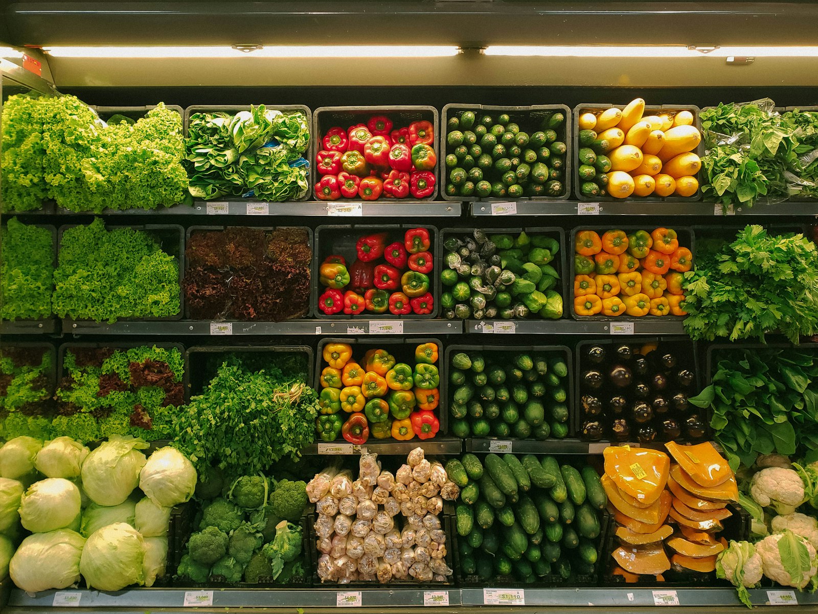 Conscious Consumer Guide: How to Shop More Ethically