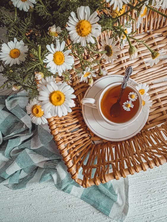 Lavender Chamomile Tonic: A Gentle Evening Wind-Down