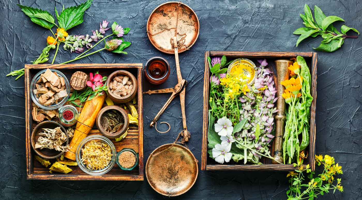 Adaptogenic Herbs: A Complete Guide to Nature’s Stress Fighters