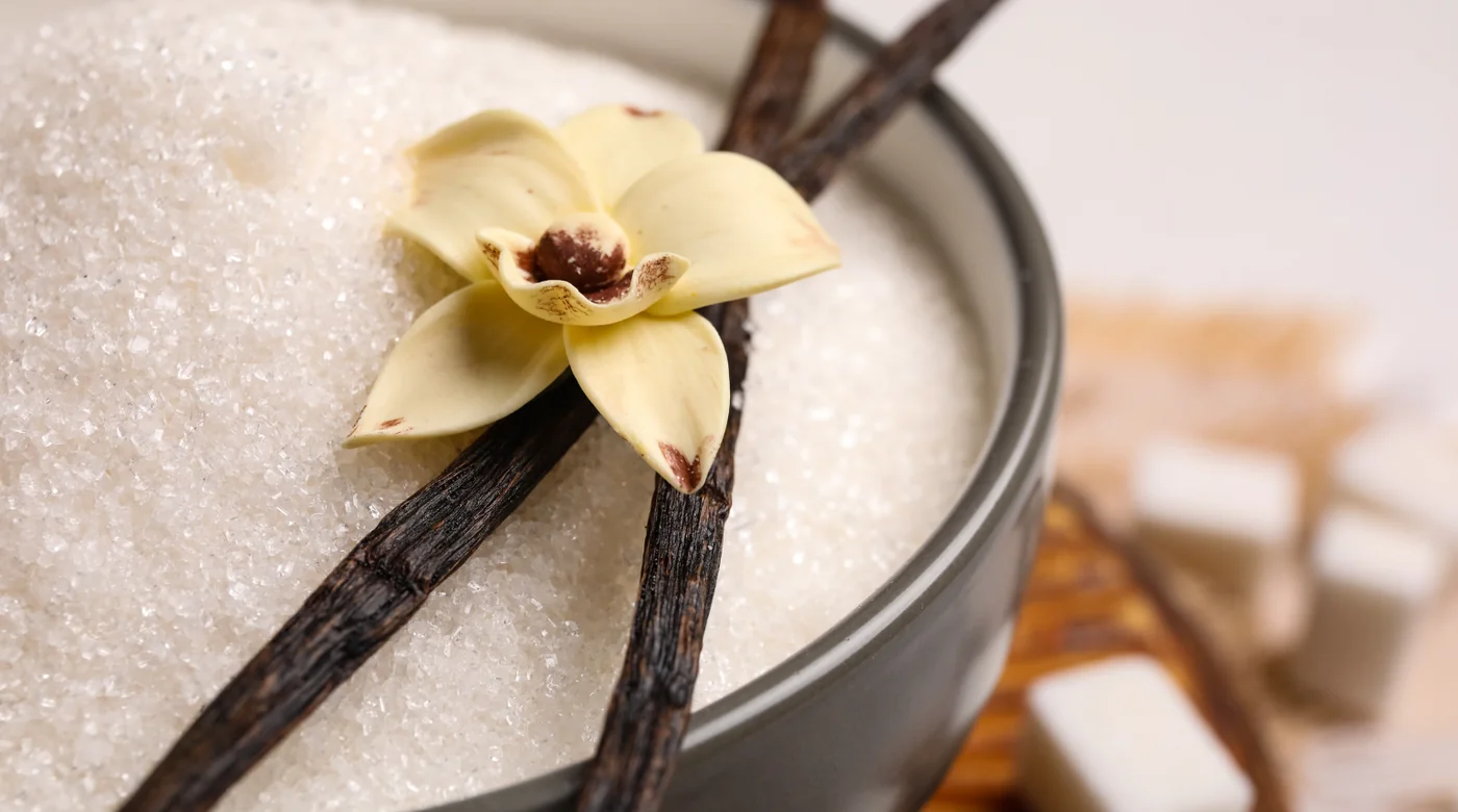 Yellow vanilla orchid flower resting on dark vanilla beans atop a bed of coarse sugar in a round metal dish/bowl.”,