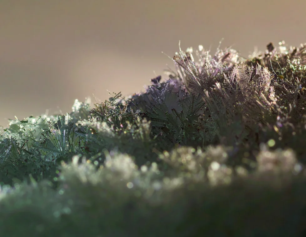 The DIY Linen Spray I Make for Sleep: Marjoram, Lavender, Cedarwood, and Ylang Ylang